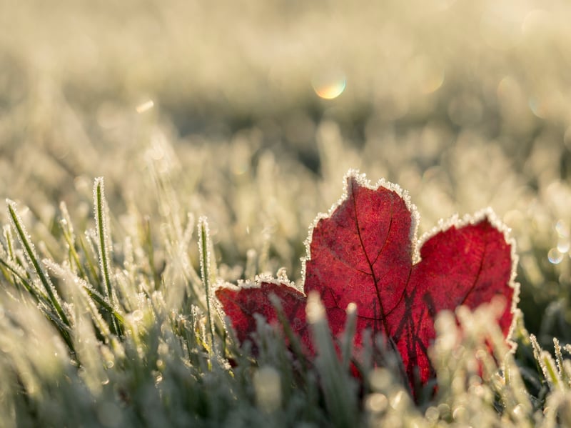 How to get your solar panels winter ready