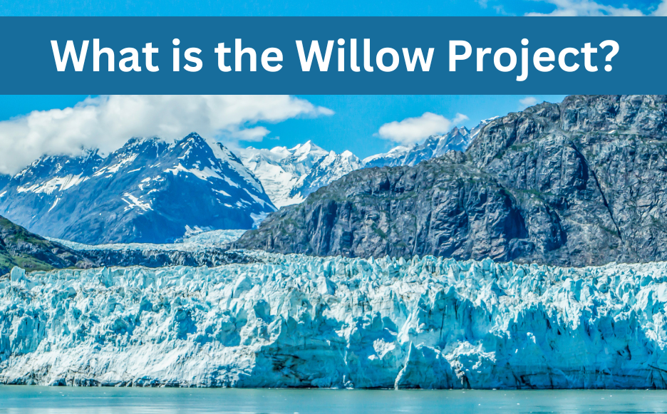 Whats The Willow Project 2025 - Julie Berenice