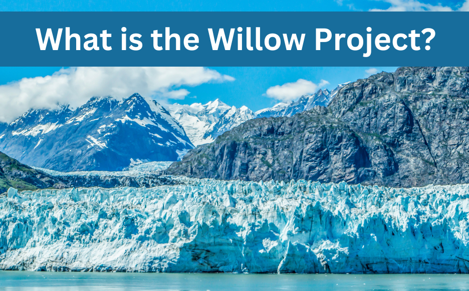 What is the Willow Project1